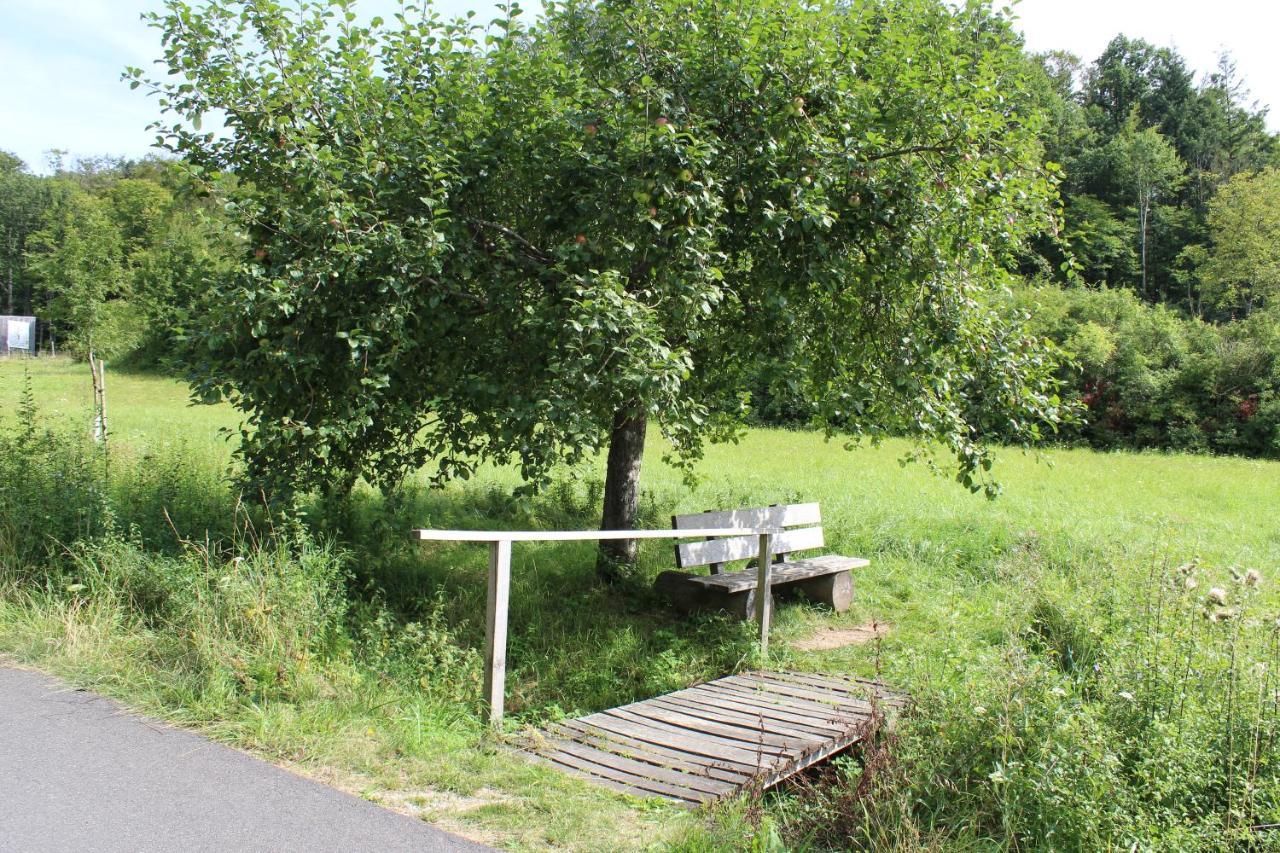 Ferienwohnung Forellenhof Oberschwarzach Exteriér fotografie