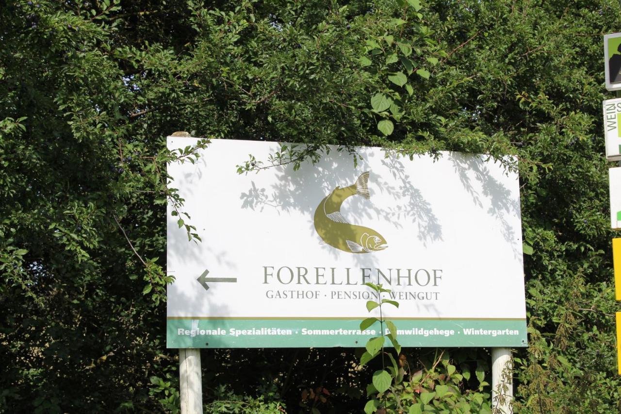 Ferienwohnung Forellenhof Oberschwarzach Exteriér fotografie